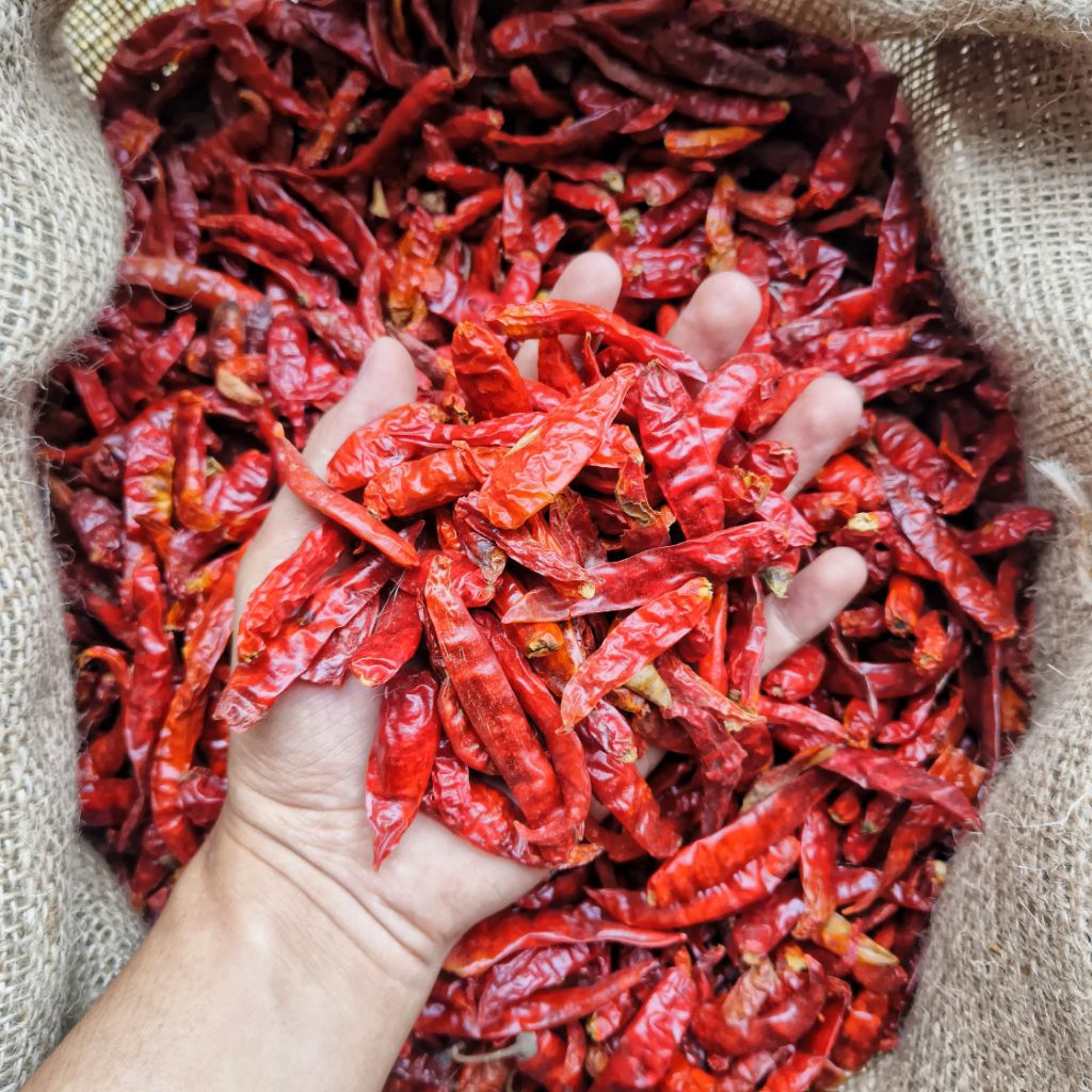 

Cabai kering import 1kg | exstra pedas kualitas super