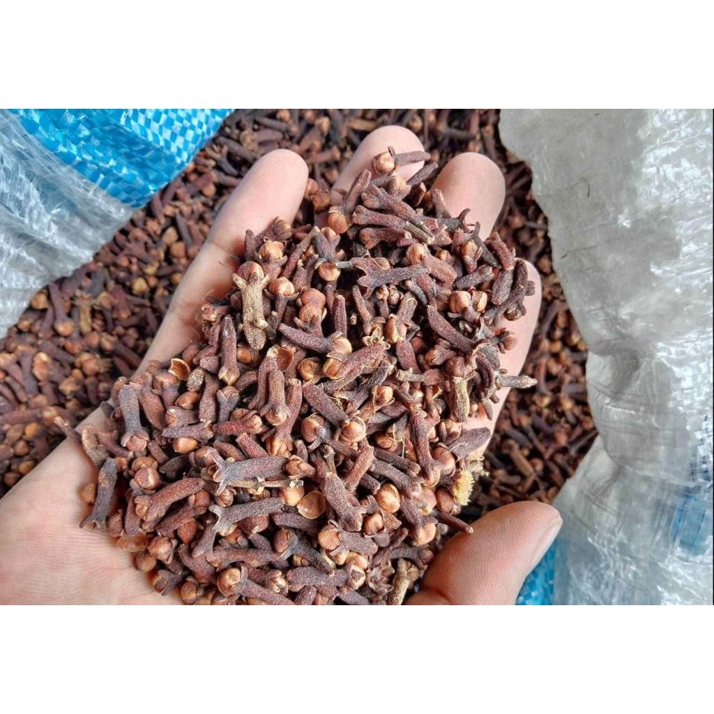 

CENGKEH KERING BERKUALITAS ASLI LOKAL