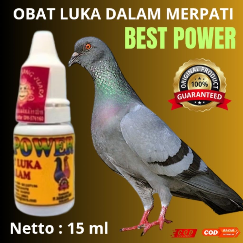 OBAT LUKA DALAM BURUNG MERPATI ( BEST POWER)
