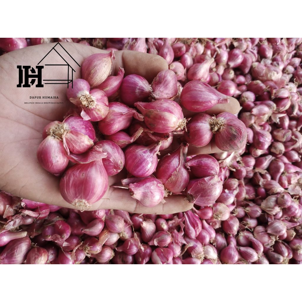 

Bawang merah kering Termurah ukuran sedang