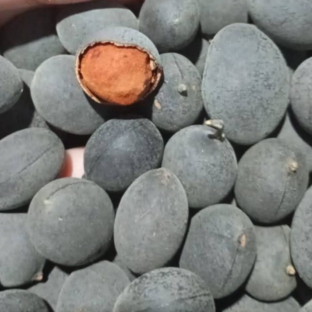 

ASEM KERANJI 250gram