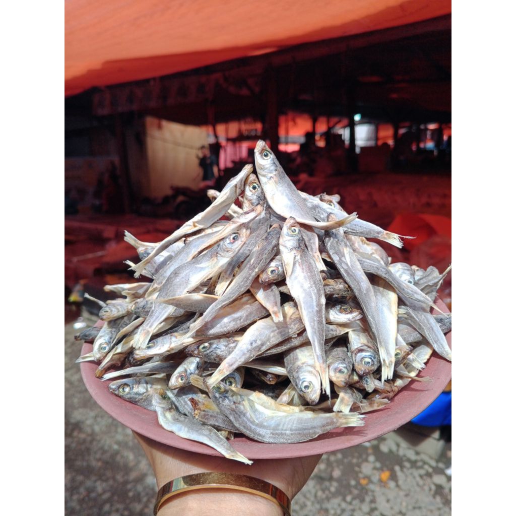 

ikan asin ebit baru