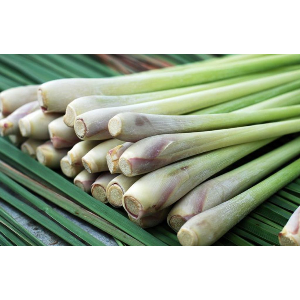 

serai/sereh jumbo 1 kg