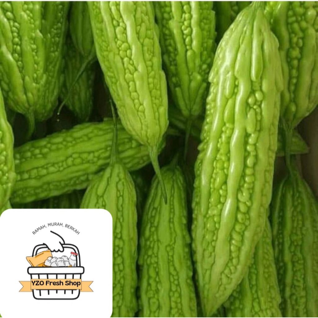 

Sayur Pare / Pare Hijau / isi 1 pcs