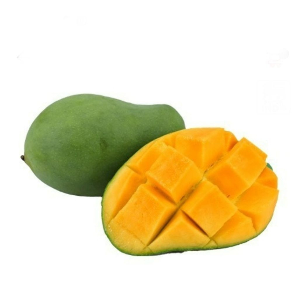 

mangga harum manis