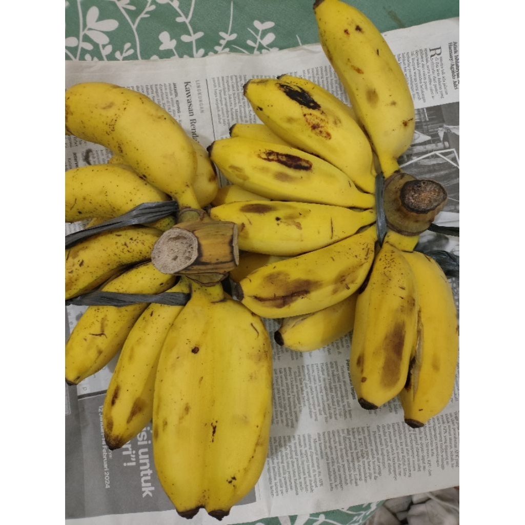 

pisang raja sreh