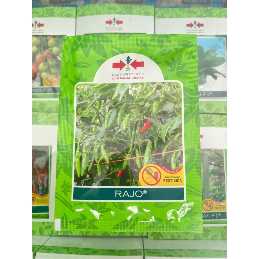 bibit cabe rawit Rajo kemasan 2250 butir panah merah