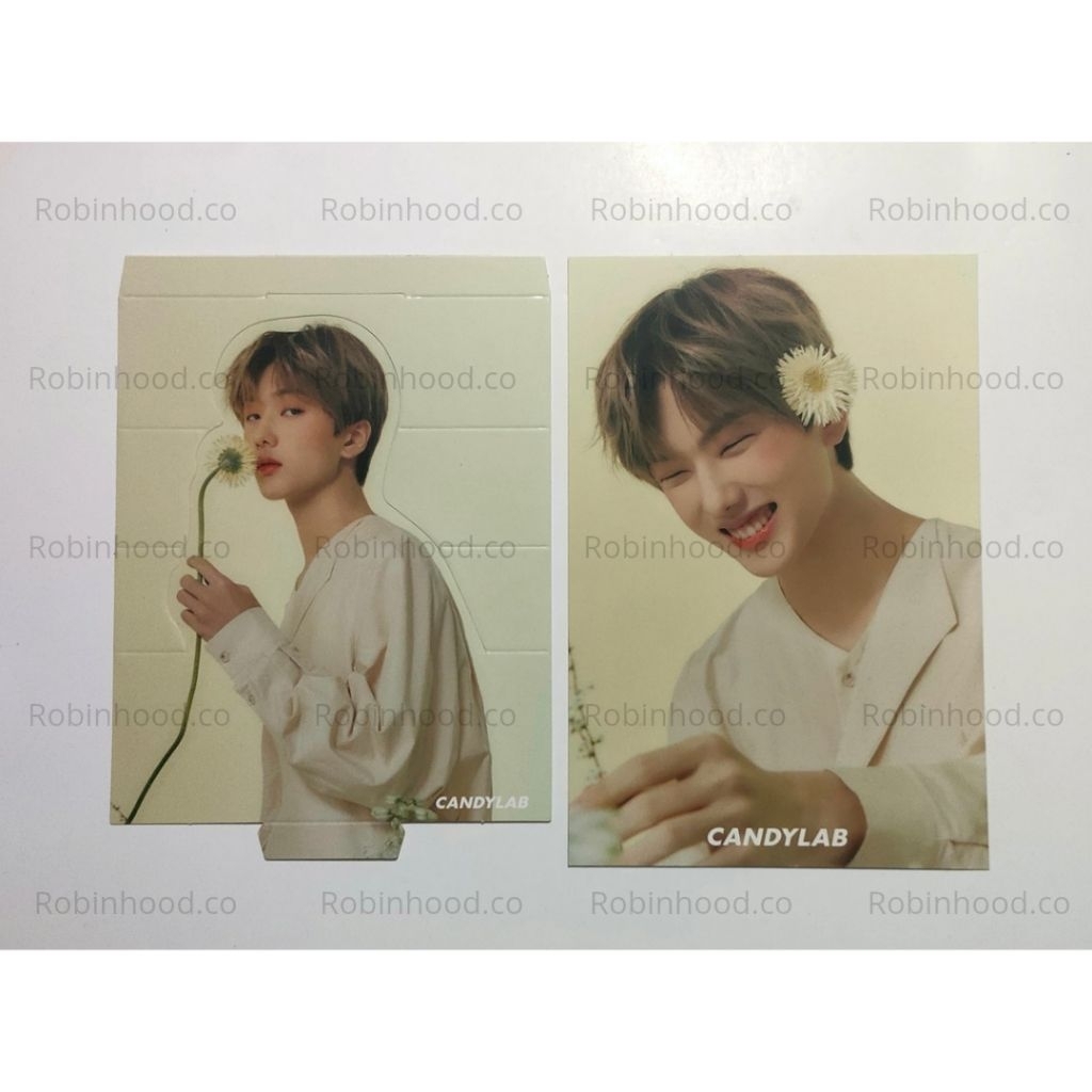 

Postcard standee jisung candylab ver 2