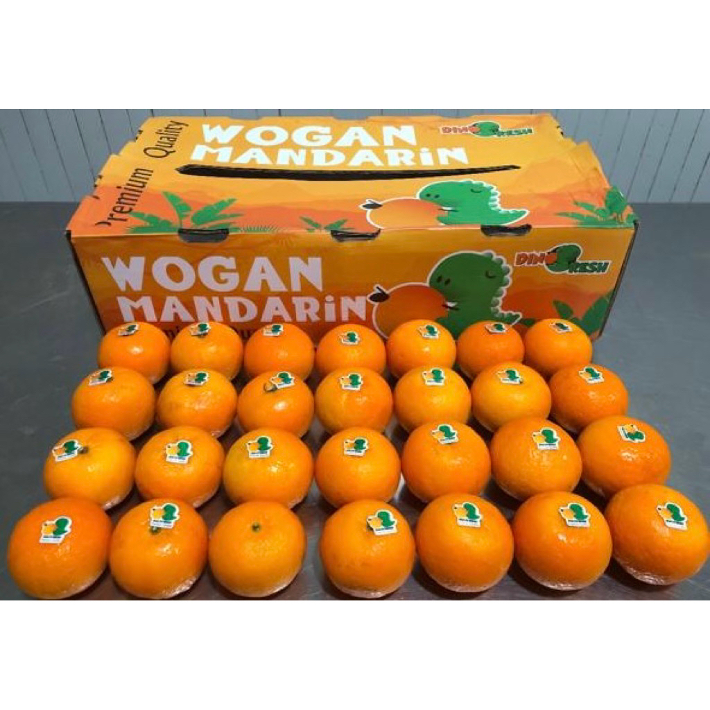 

Jeruk Wogan 1kg