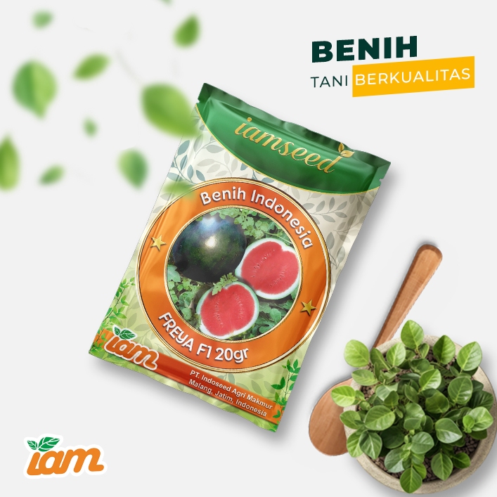 

Freya F1 20gr | Semangka non biji hijau gelap