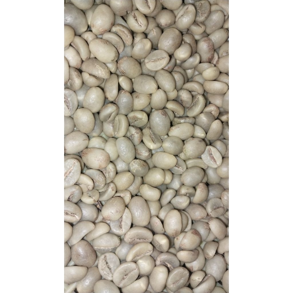 

Kopi Robusta Grade 1