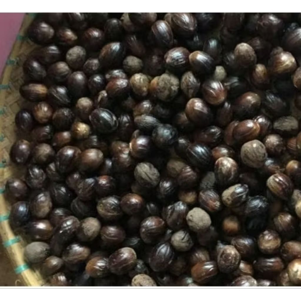 

1kg pala kering untuk bumbu