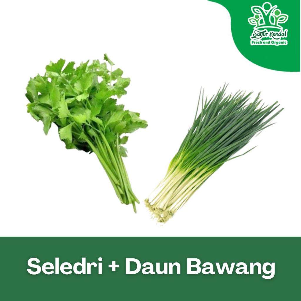 

Bundle Seledri dan Daun Bawang