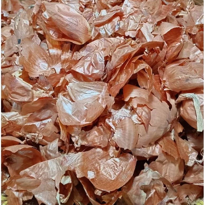 

kulit bombay/bawang bombay