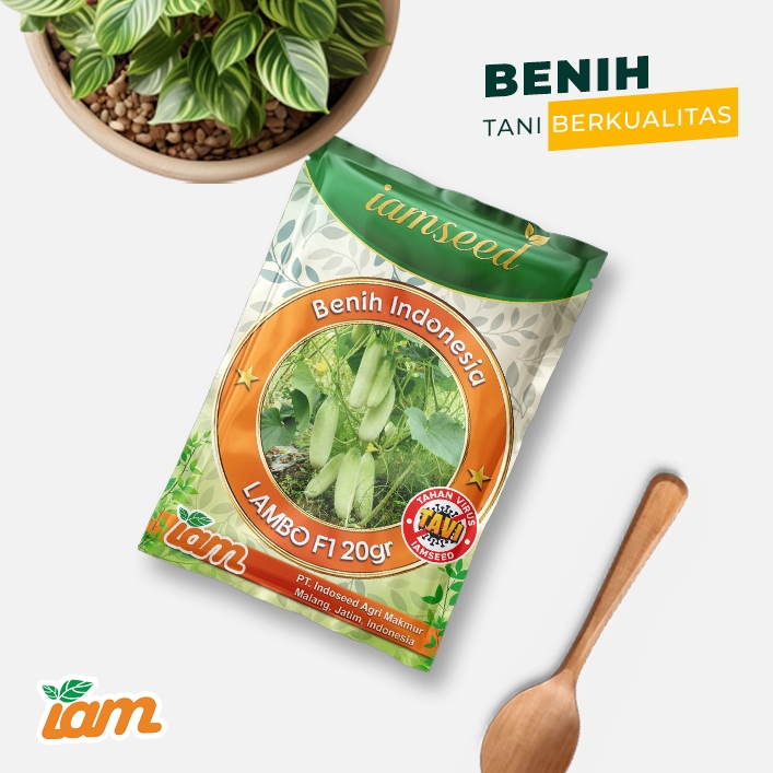 

Lambo F1 20gr | Timun baby