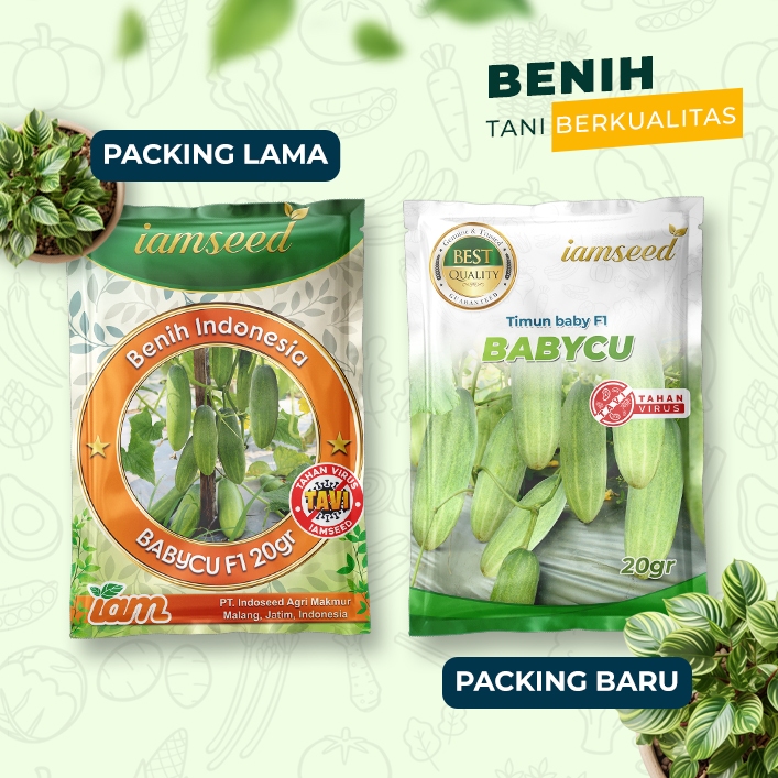 

Babycu F1 20gr | Timun baby