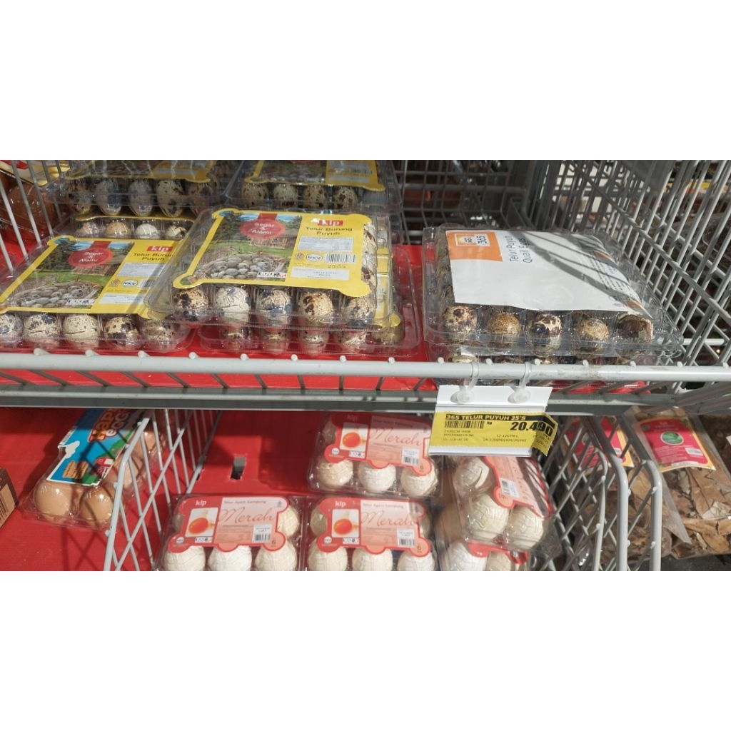 

Telur Teluran