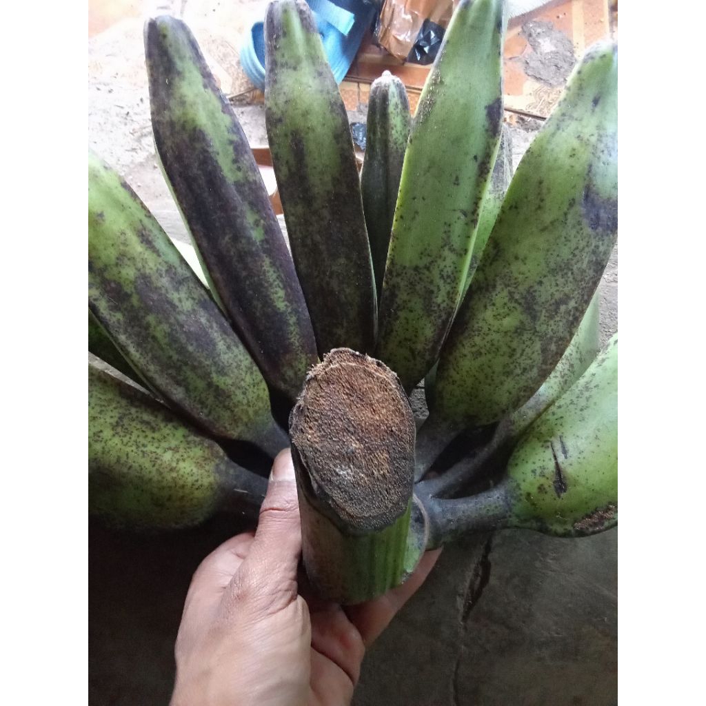 

pisang kepok keplek per 1kg