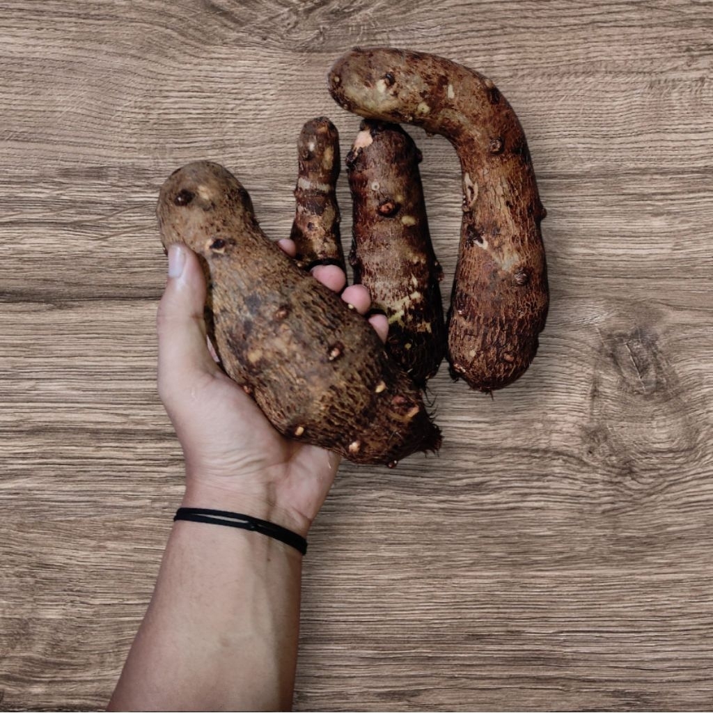 

Talas Lokal Talas Kampung Asli Untuk Keripik Mantap