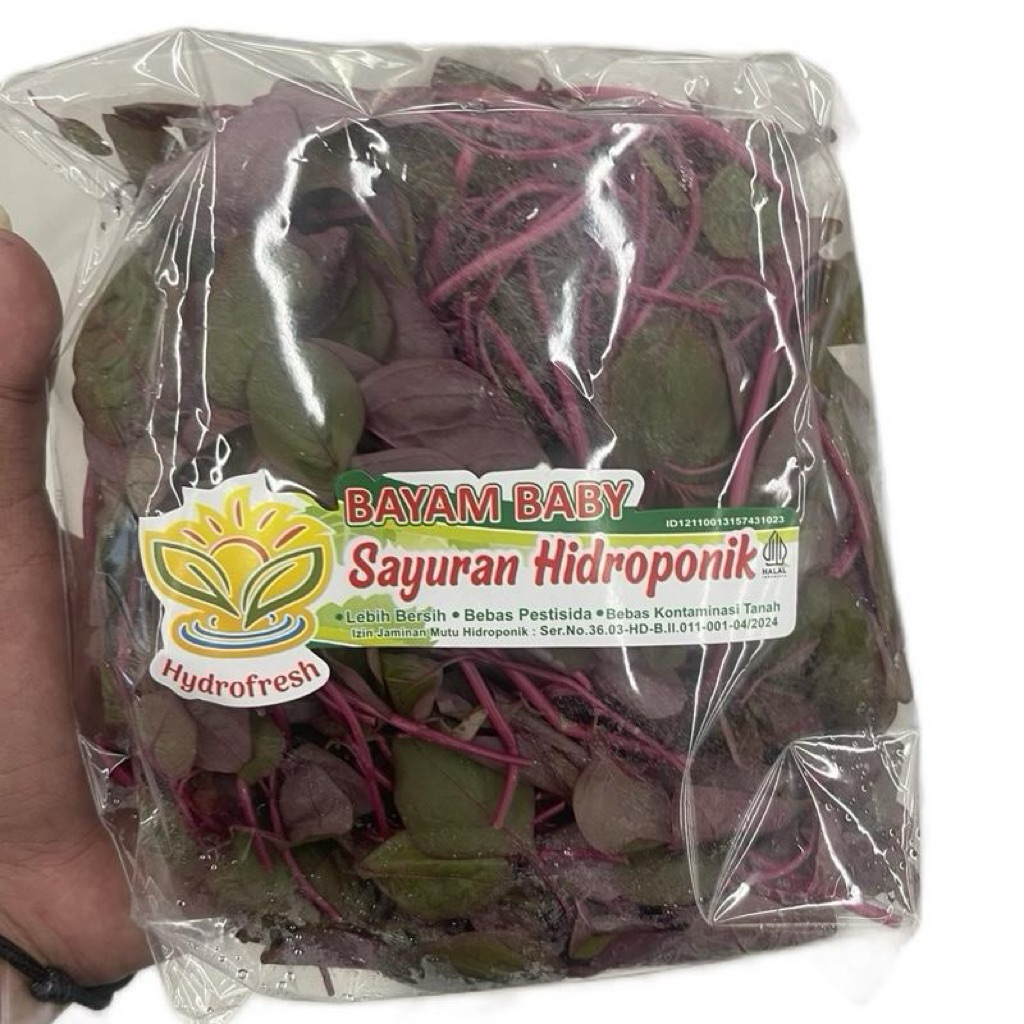 

Bayam Hidroponik | Baby Bayam Hidrofresh | Pack