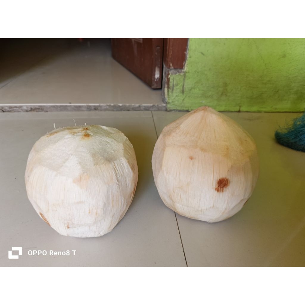 

KELAPA MUDA KUPAS BERSIH SEGAR