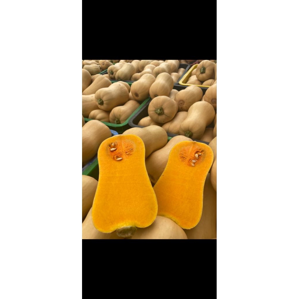

Labu butternut pumpkin utuh (1 kg)