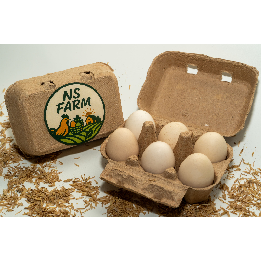 

Telur Ayam Kampung Omega