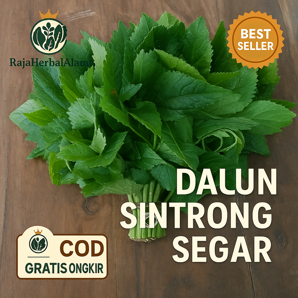 

Daun Sintrong Segar 1 Ikat Sayur Siap Masak | COD