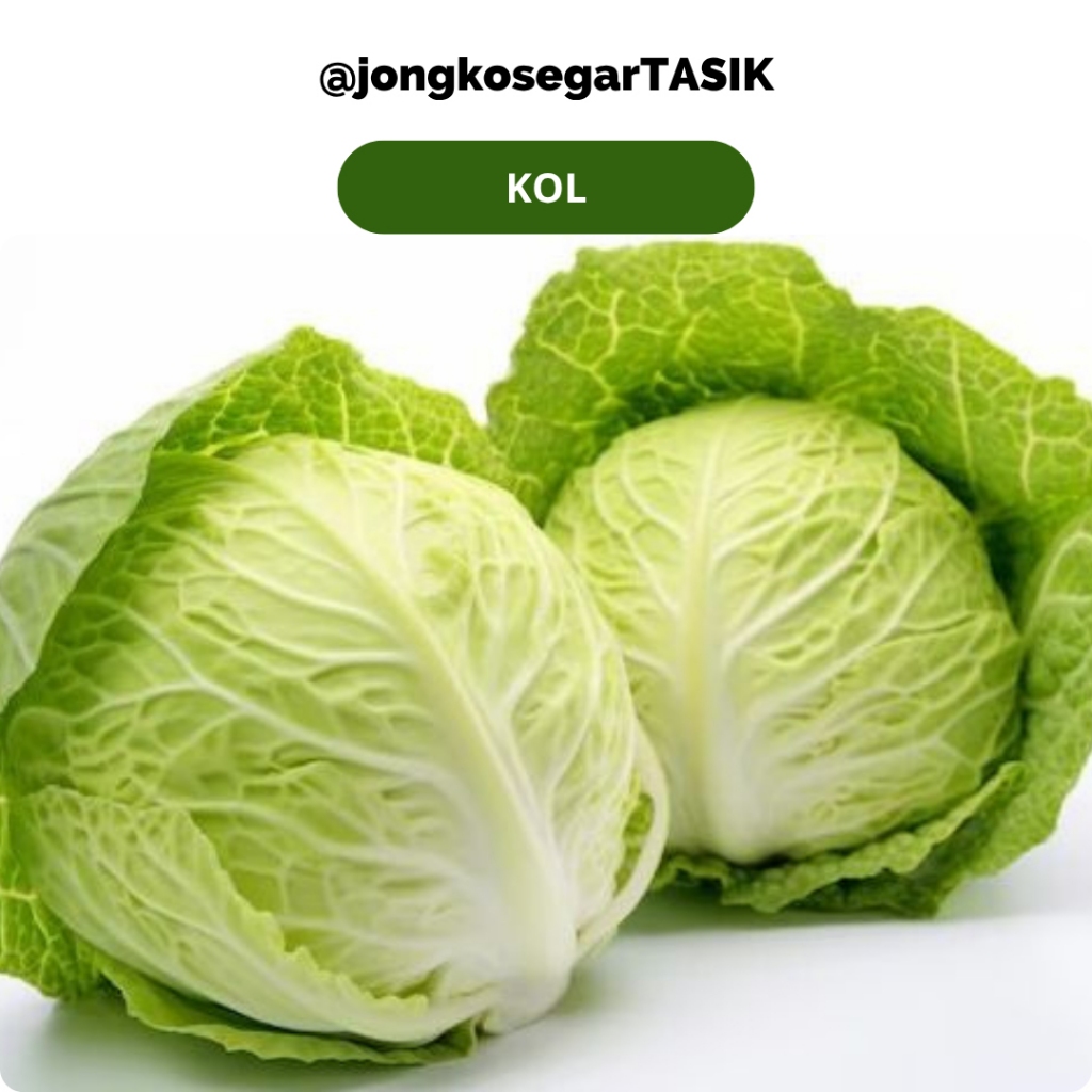 

jongkosegarTASIK - Sayuran Kol putih Segar Fresh 500gr - 1kg