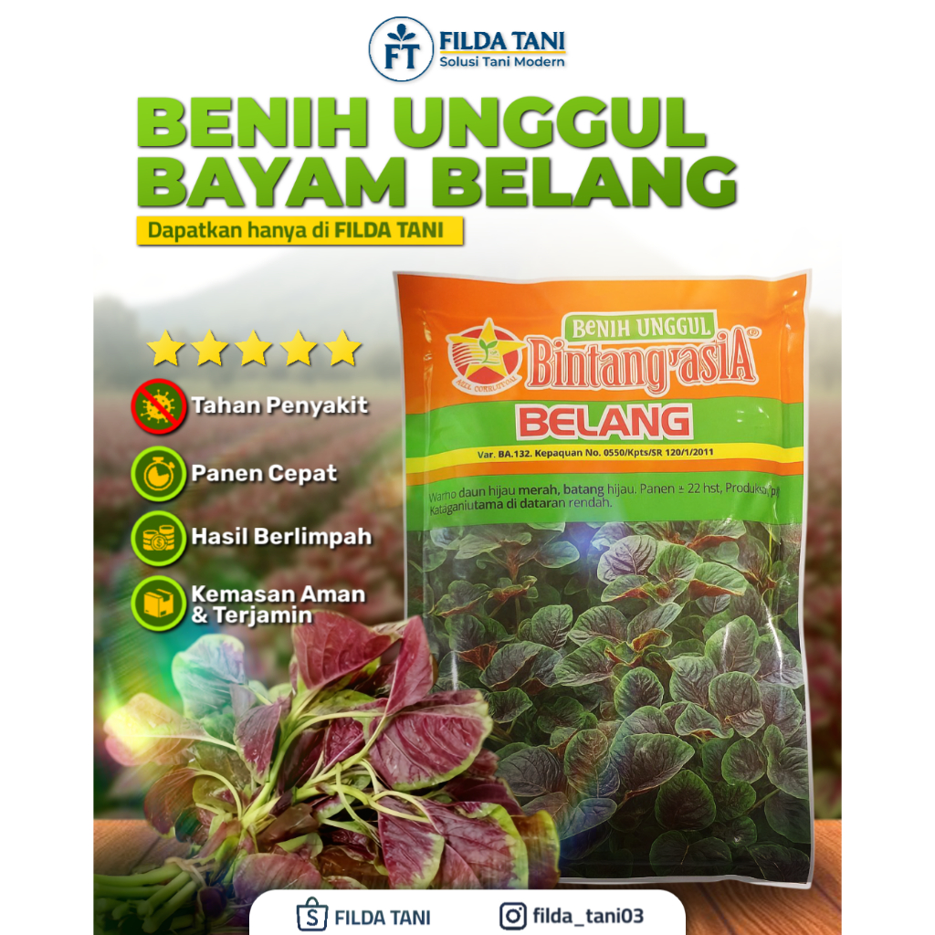 

Benih Bayam Belang — Benih Pertiwi 500 Gram