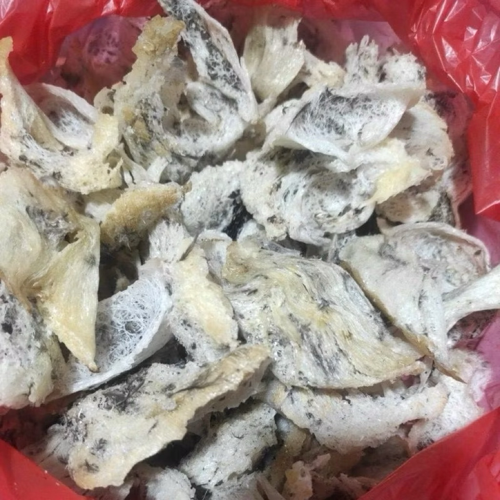 

Termurah Sarang Walet Asli Kalimantan