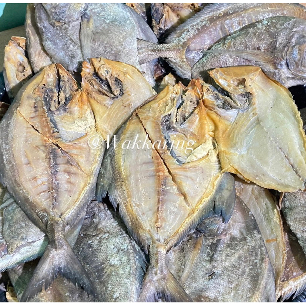 

IKAN ASIN BAWAL LAUT