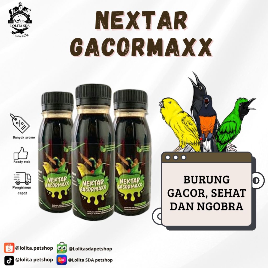 nextar gacormaxx nektar burung nextar untuk burung