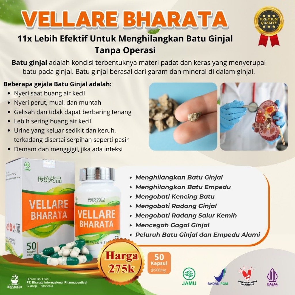 VELLARE BHARATA | OBAT BATU GINJAL | OBAT KENCING BATU | OBAT PENGHANCUR BATU GINJAL AMPUH