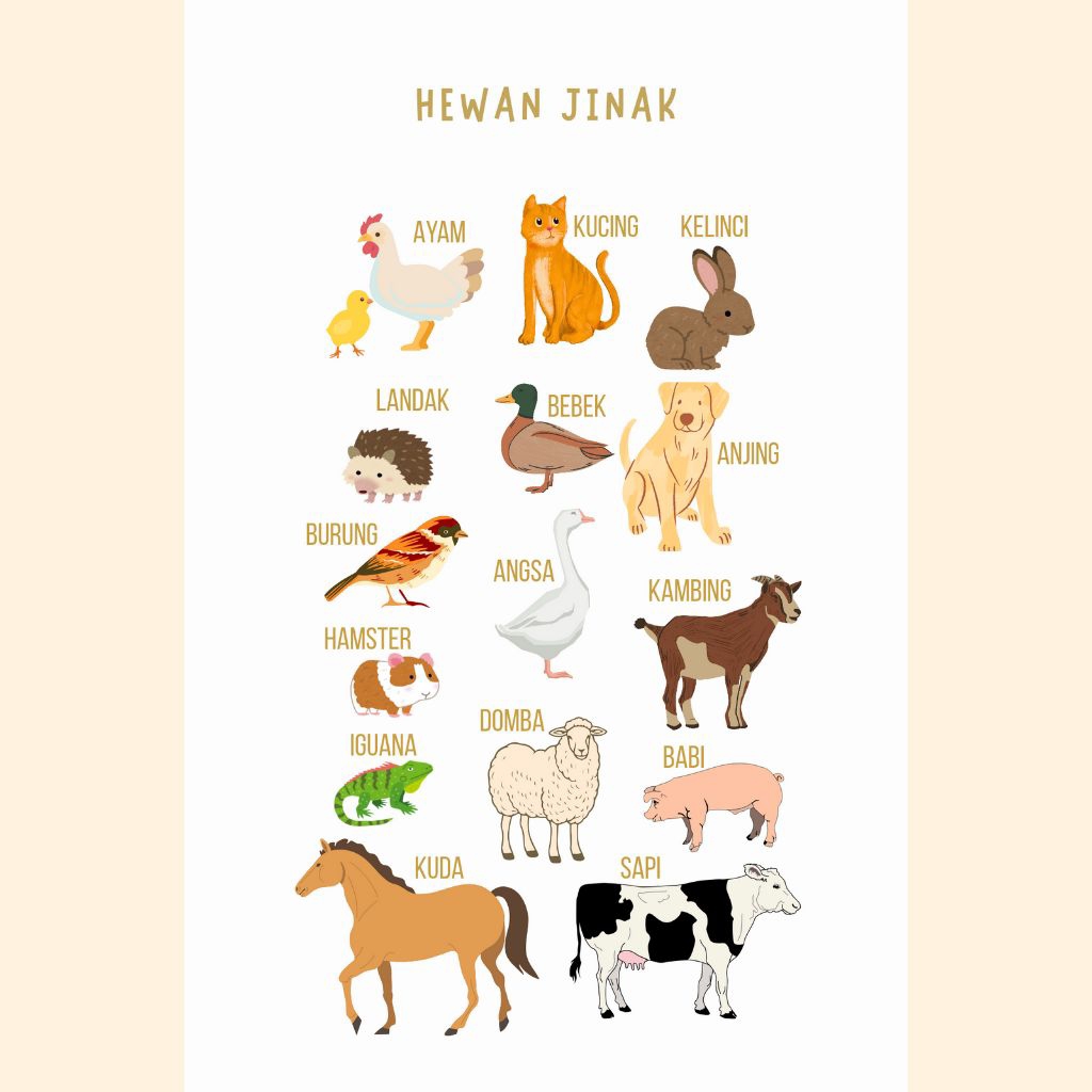 POSTER EDUKASI ANAK HEWAN JINAK