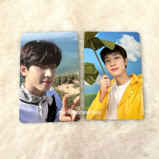 PHOTOCARD SEVENTEEN WONWOO HENGGARAE DUL PEACE BUNDLE WONWOO TOTORO HEAVEN