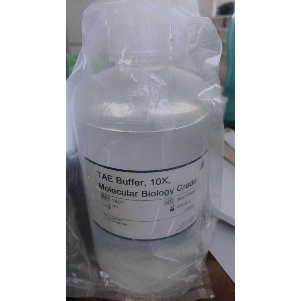 TAE Buffer, 10X, Molecular Biology Grade