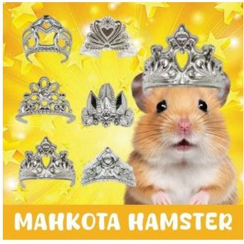 MAHKOTA HAMSTER - Fashion Hamster Aksesoris Hamster Mahkota Hamster Topi Hamster