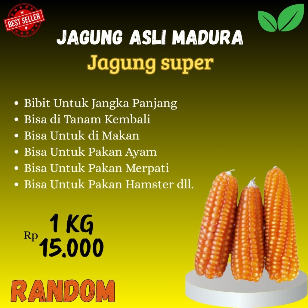 JAGUNG ASLI MADURA 1 KG RANDOM COCOK UNTUK MAKAN HAMSTER MERPATI DAN AYAM
