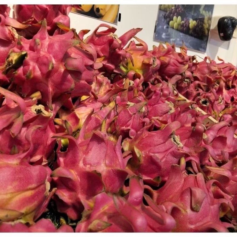 

Buah Naga Merah - Buah Naga merah 1kg manis