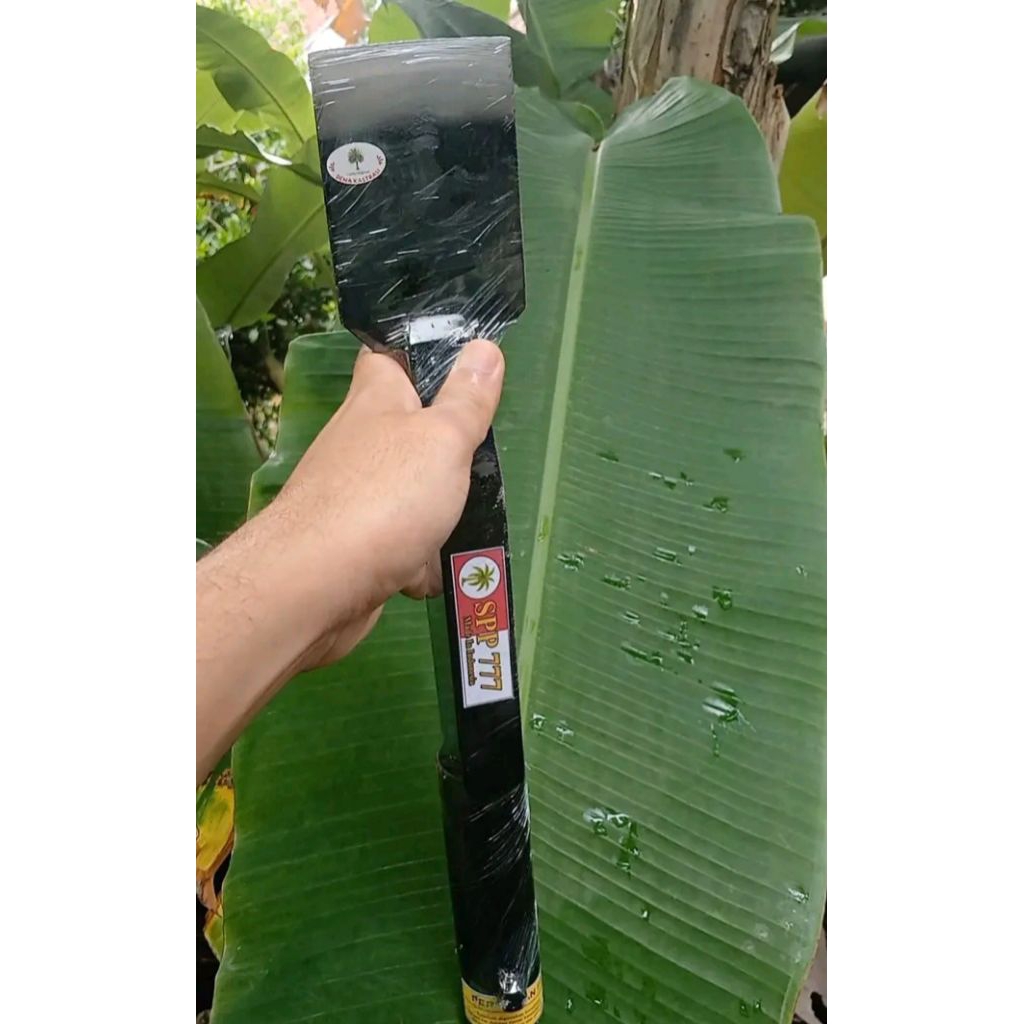 kastrasi sawit/dodos kastrasi sawit