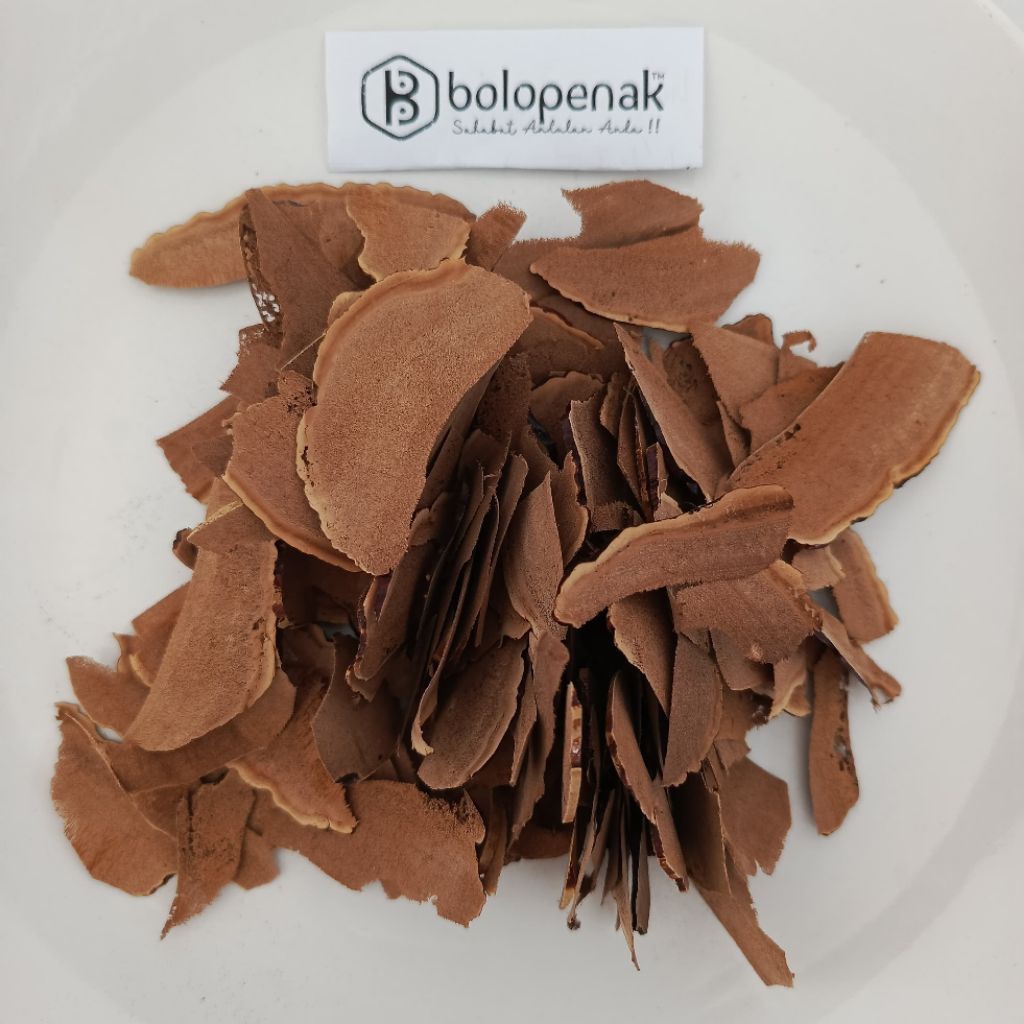 

Jamur Lingzhi / Ling Zhi / Lingzi / Reishi / Yeongji Asli Kering Iris Tipis 1 Ons, Ganoderma Lucidum Mushroom Original Thinly Sliced Dry 100 Gram