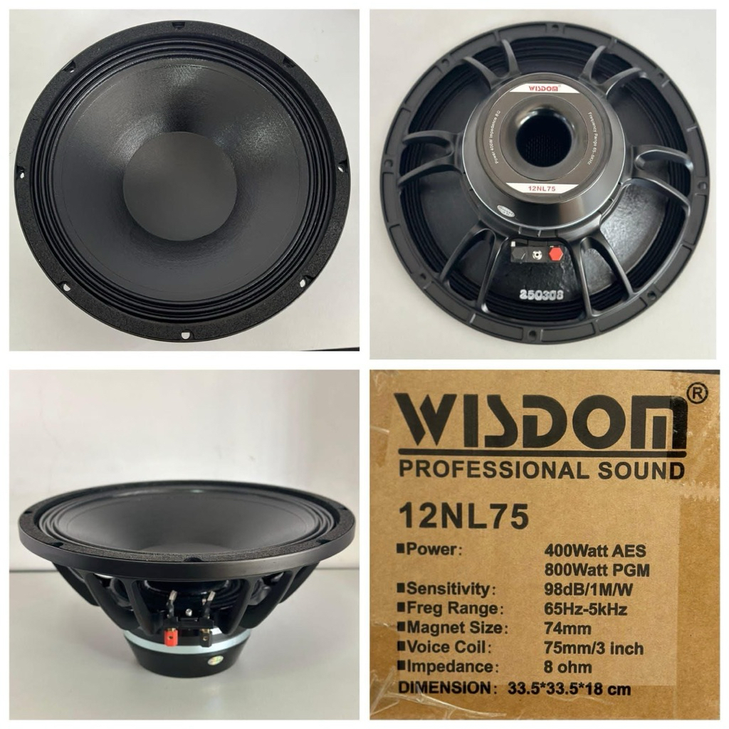 Speaker wisdom 12nl75 original T24