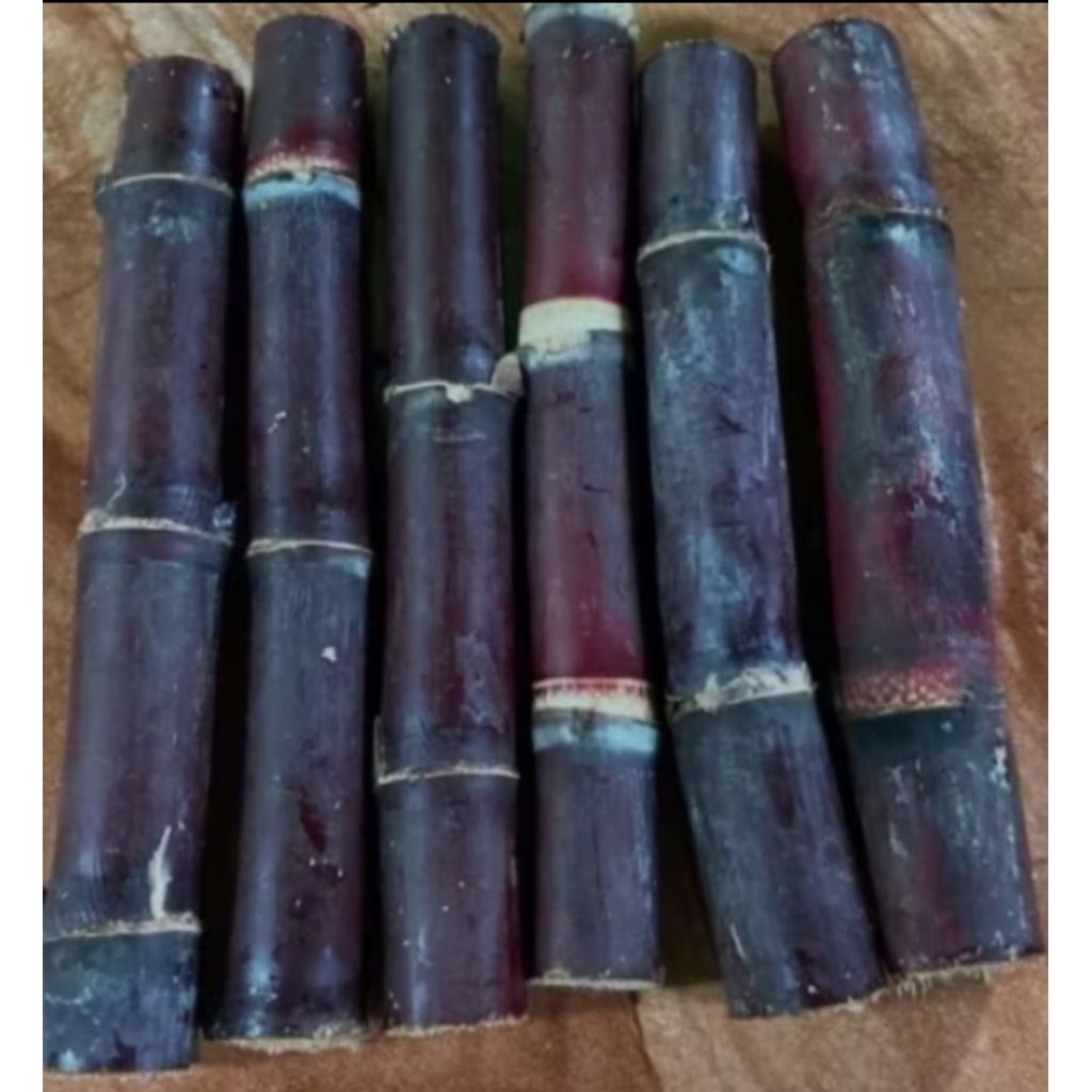 

Tebu_merah