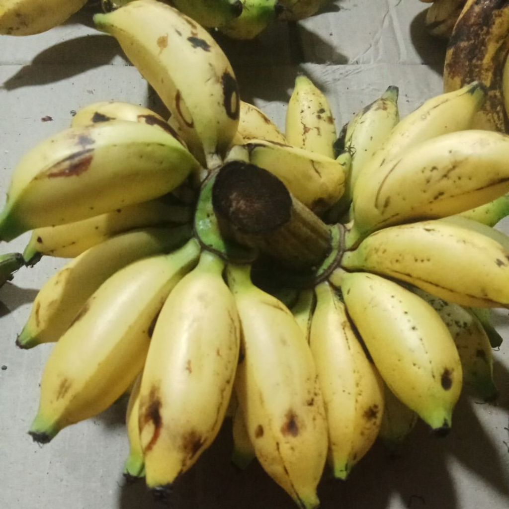 

pisang Lampung fresh manis