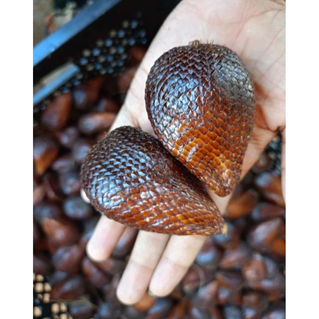 

salak pondoh 2kg