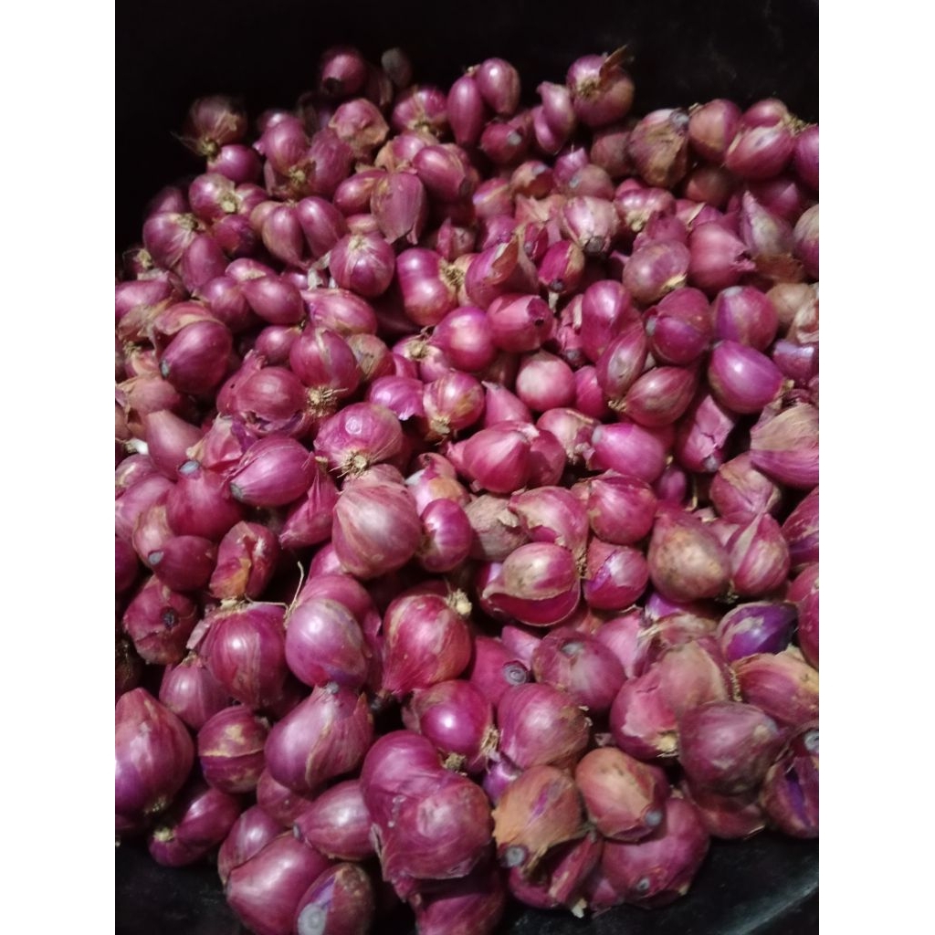 

(cod)bawang merah super, bawang merah Probolingga
