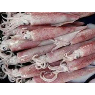 

Cumi Besar Segar Medan Daily Market