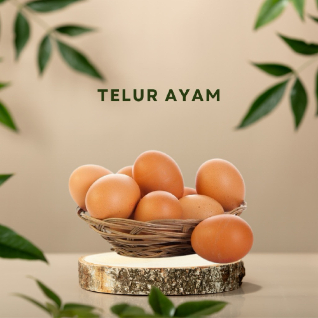 

Telur Ayam Segar - (harga per 1kg)