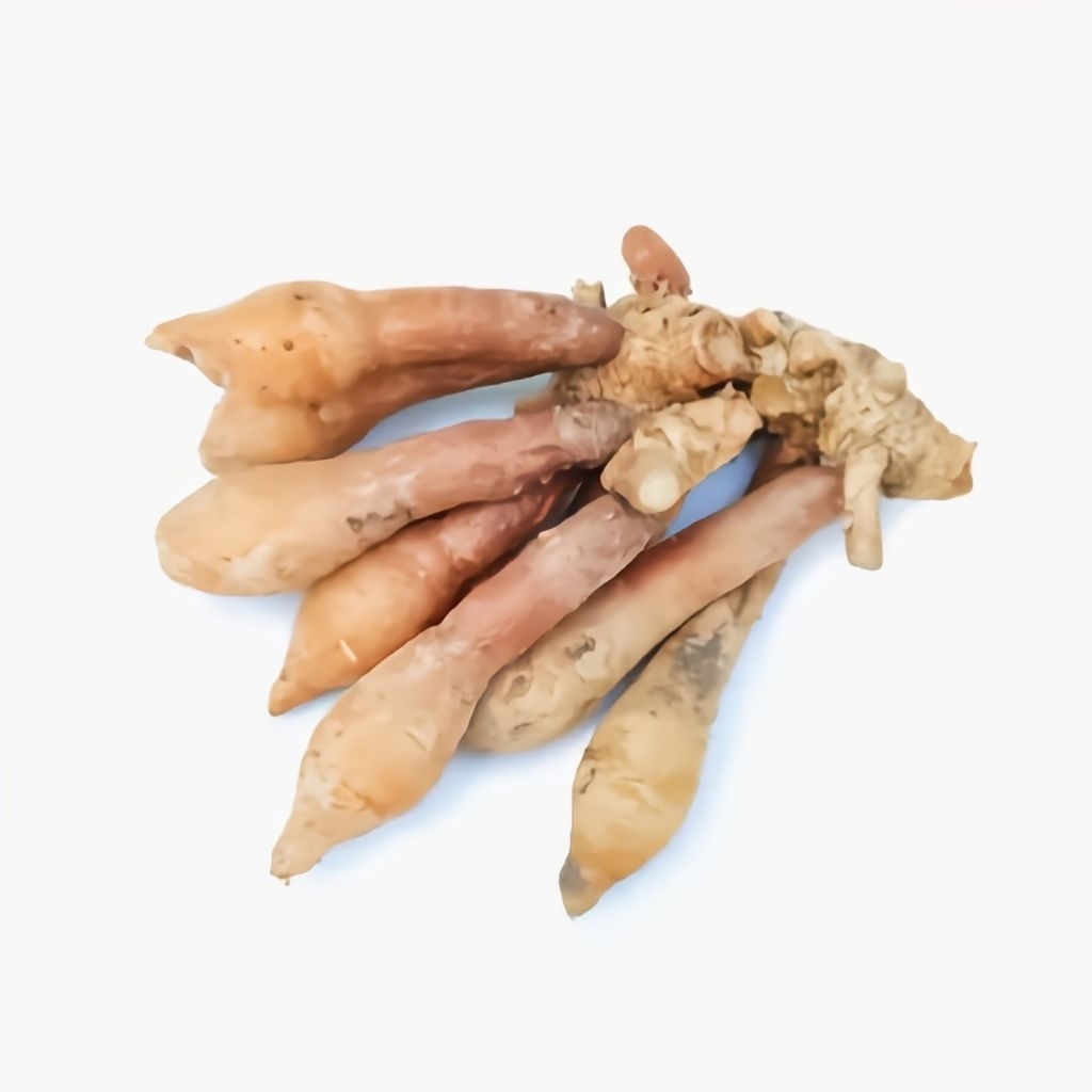 

Temu kunci fresh (Boesenbergia rotunda) 500 gram/½ kg